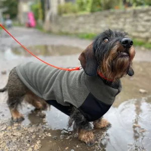 Standard Dachshund Fleece Jumper with Waterproof Belly Panel