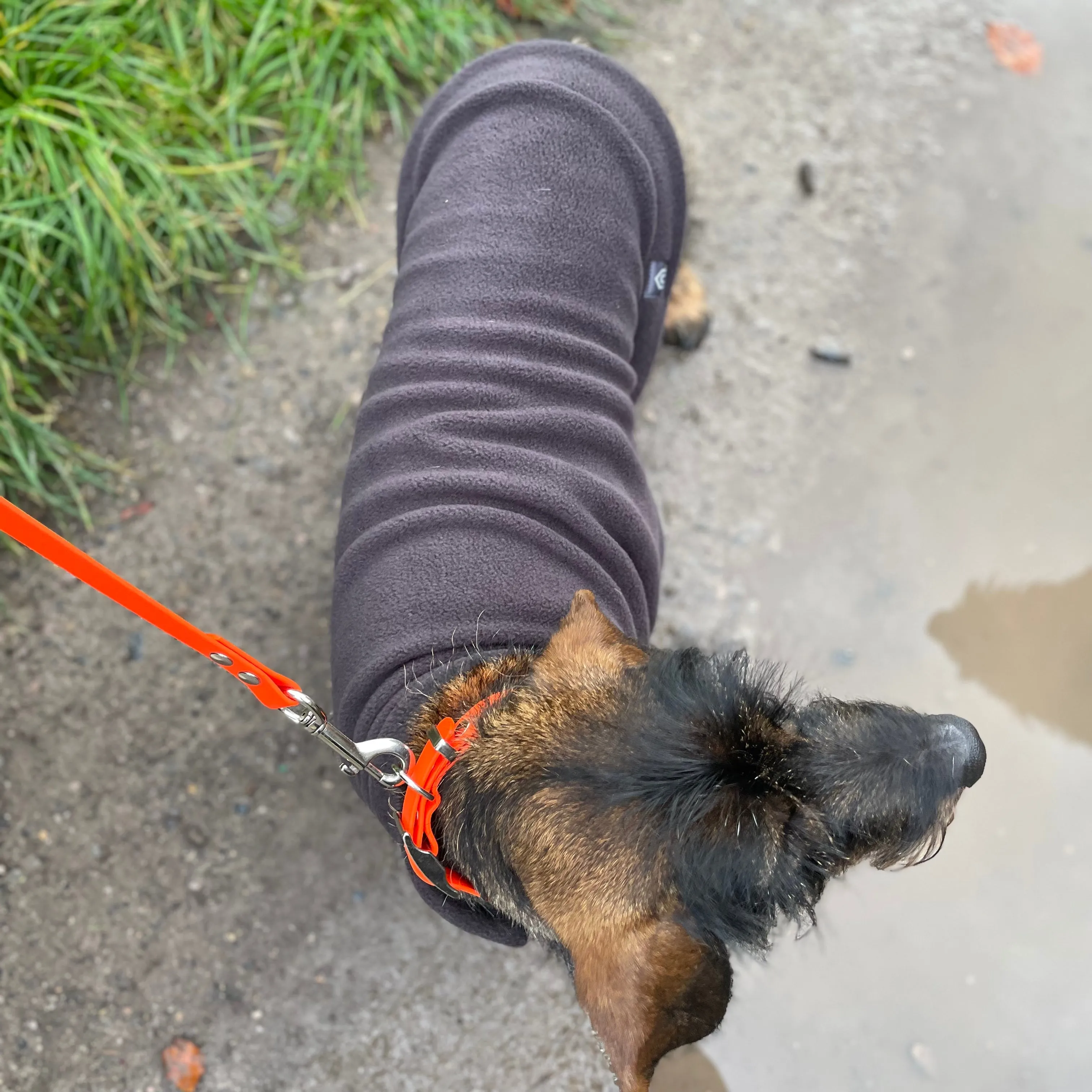 Standard Dachshund Fleece Jumper with Waterproof Belly Panel