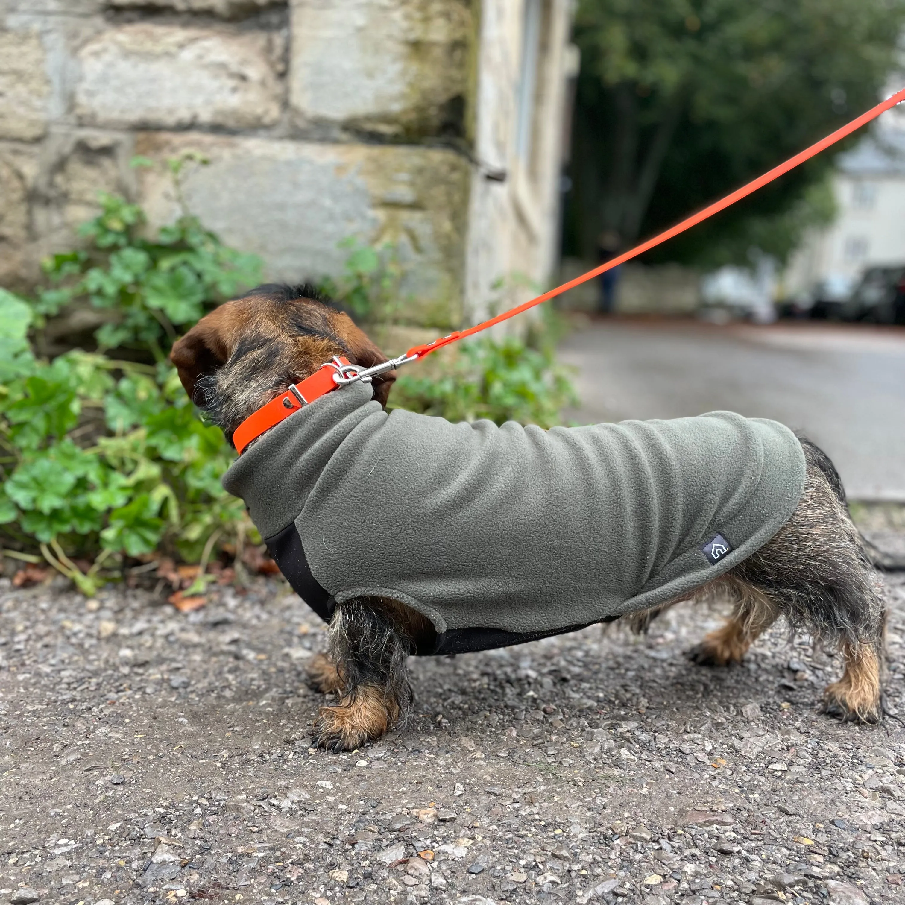 Standard Dachshund Fleece Jumper with Waterproof Belly Panel